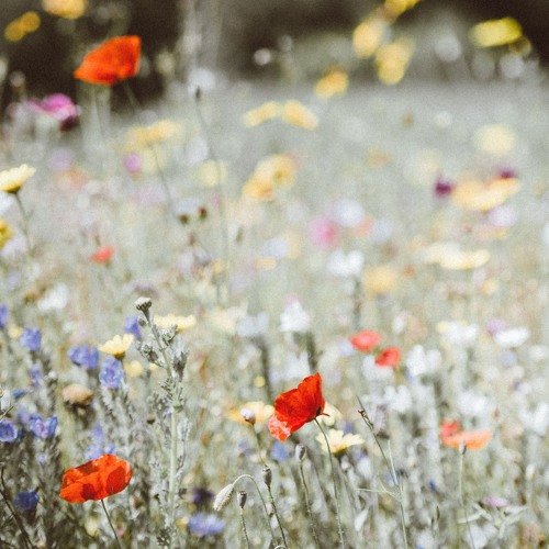 Sunshine After The Rain (Extended Version)