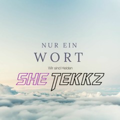 SheTekkz - Nur Ein Wort Wir Sind Helden Tekk Remix