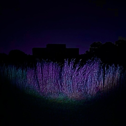 reanimation (prod. chxsen)
