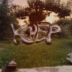 KNEP MIX l #0003 - DIRECTOR SHAPE - RAVE MIX 3h