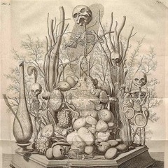 Because I Could Not Stop For Death