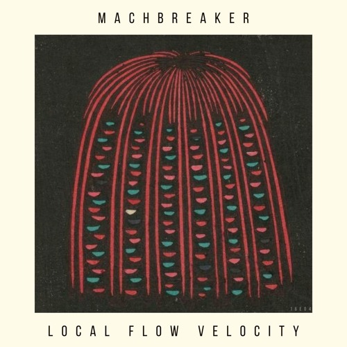 Local Flow Velocity