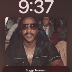Bugzz Norman