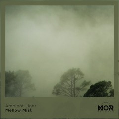 Ambient Light – Salty Melon