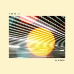 Exclusive Premiere: Moonfish "Mahi Mahi" (Forthcoming on Cavalo Records)