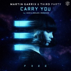 Third Party & Martin Garrix - Carry You x Free (Adam Funston & KF Mashup)