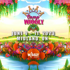 Starsky/Andromedan Sky - Camp Wiggly 2023