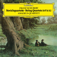Schubert: String Quartet No. 9 in G Minor, D. 173: III. Menuetto. Allegro vivace