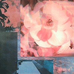 flower petals.
