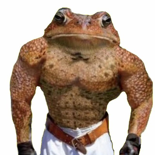 Frog Like Techno Music