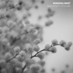 Mimosa Mist