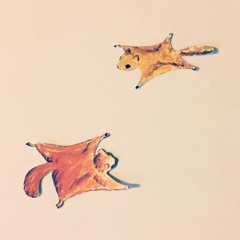 CRLSS - Wishing Well