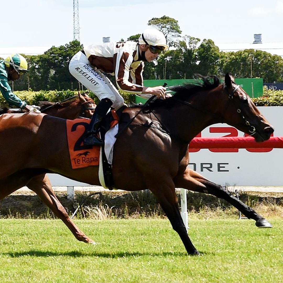 Ken Nelson Racing Stream episode Ken Kelson Sat 20 Nov by NZ Racing Desk podcast | Listen ...