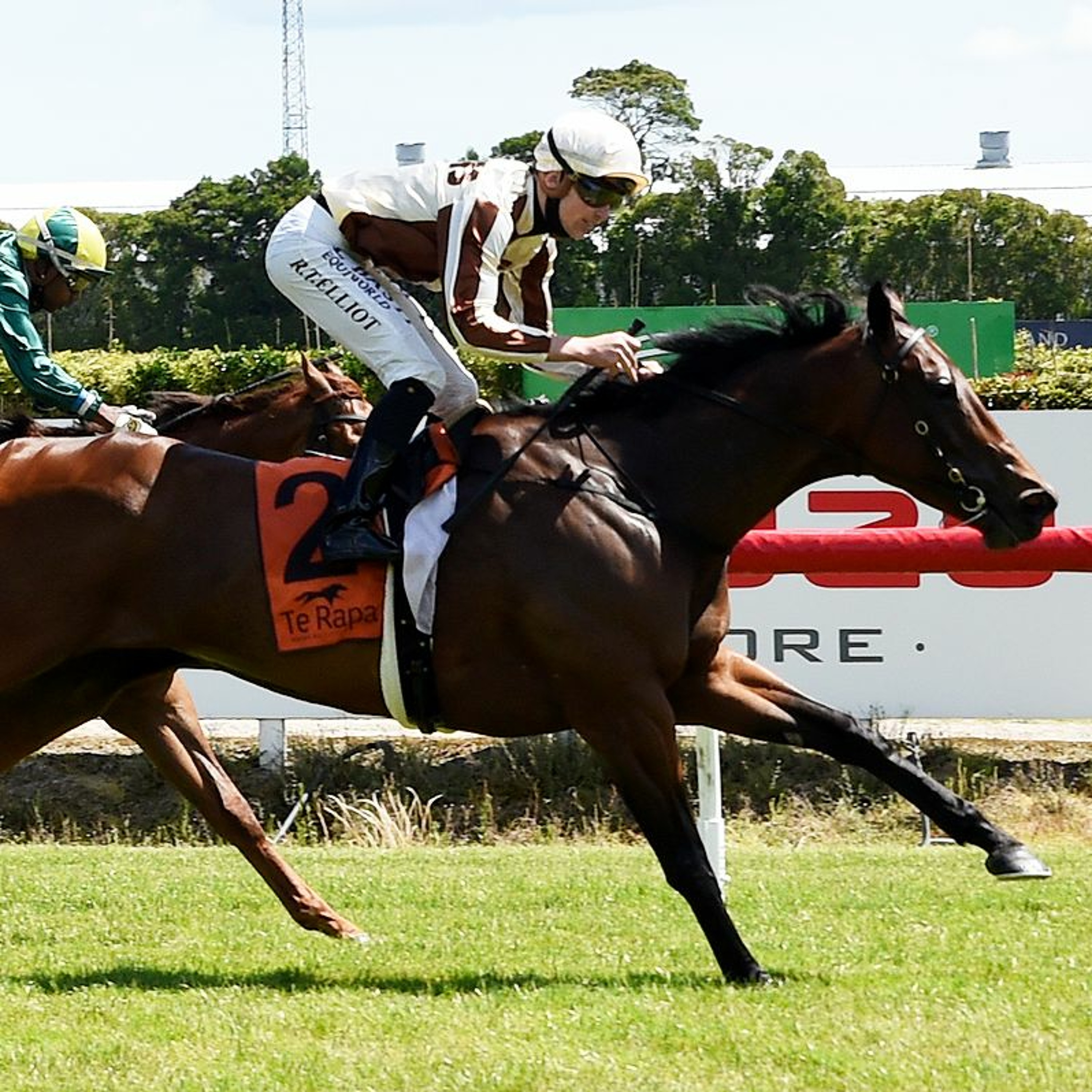NZ Racing News
