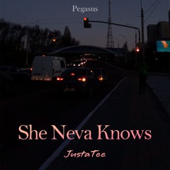 She Neva Knows (JustaTee) - PEGASUS MIX