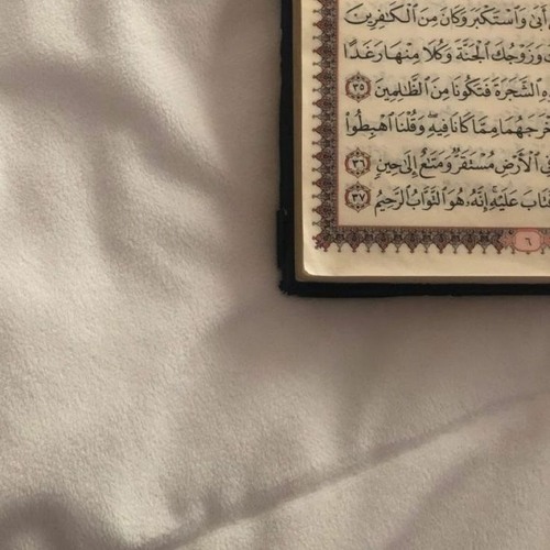 قرآن كريم للراحة النفسية | عبد الرحمن مسعد 🤍