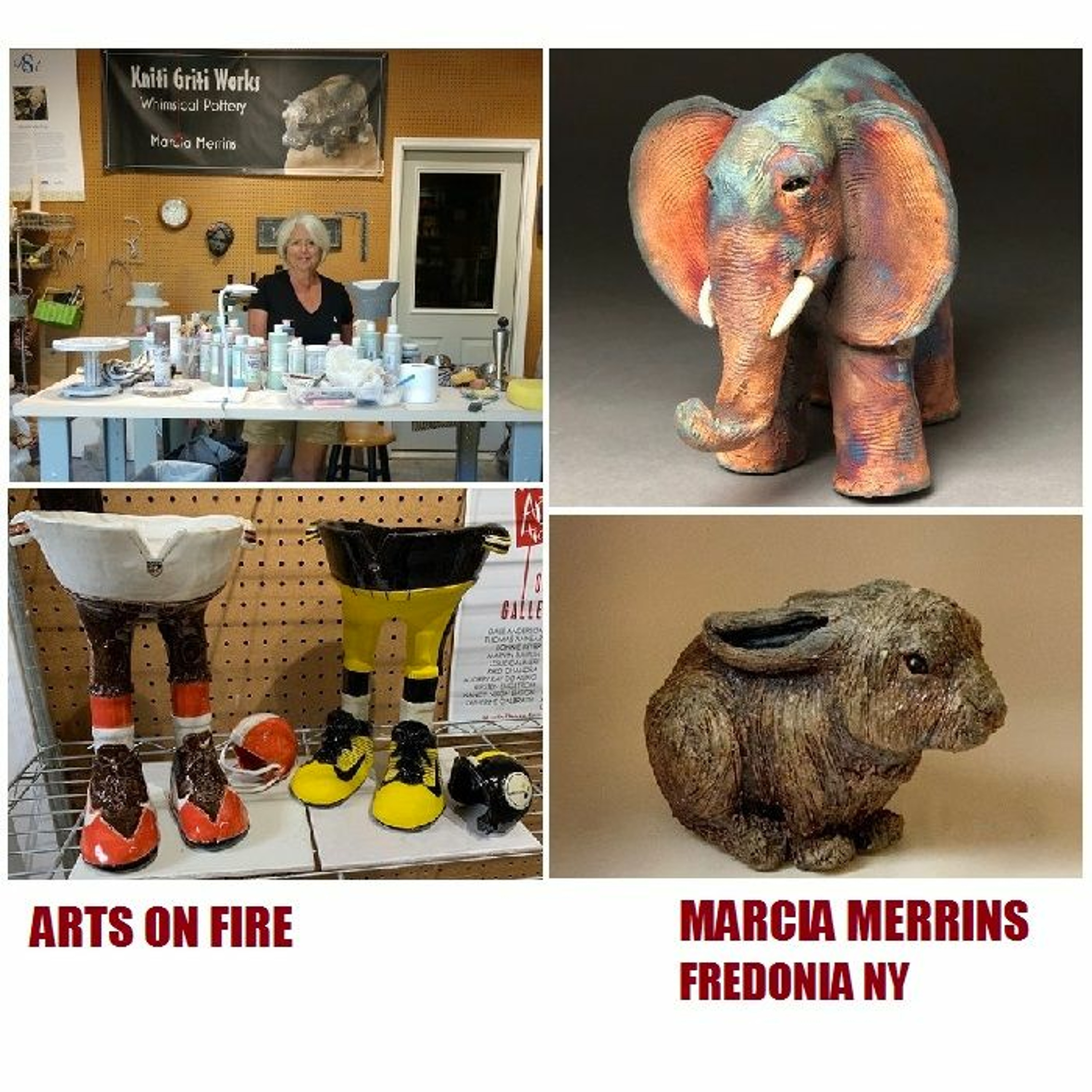 Arts on Fire - Chautauqua Region Artist Profile: Marcia Merrins, Fredonia NY