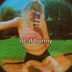deaf bunny: house