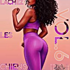 LACHEZ LES CHIENS VOL 6 Dj Toutoute FWI Mood