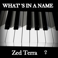 WHAT S IN A NAME By Zed Terra