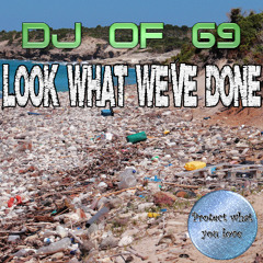 Look What We've Done (Original Mix)