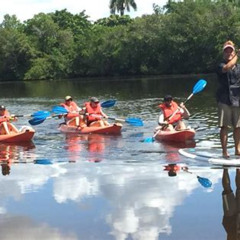 Review Special Price Guided Island Ecotour: Clearstandard Kayak Sup - Bonita Springs