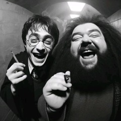 Гарри Поттер