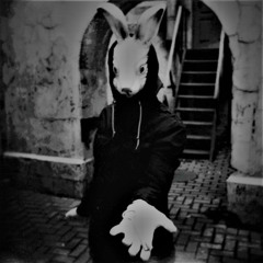 DNSK - Smoke Dat Rabbit