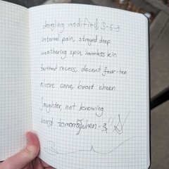 spreading joy in the contemplation of joyous reveals