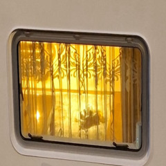 Шестое чувство