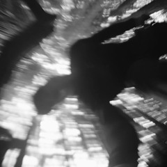 NECTA & SONATA - Seeker