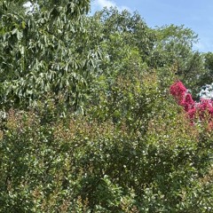 Ur Running Away In Disguise