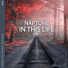 Naptone - In This Life