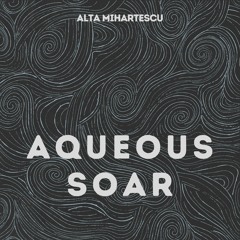 Aqueous Soar