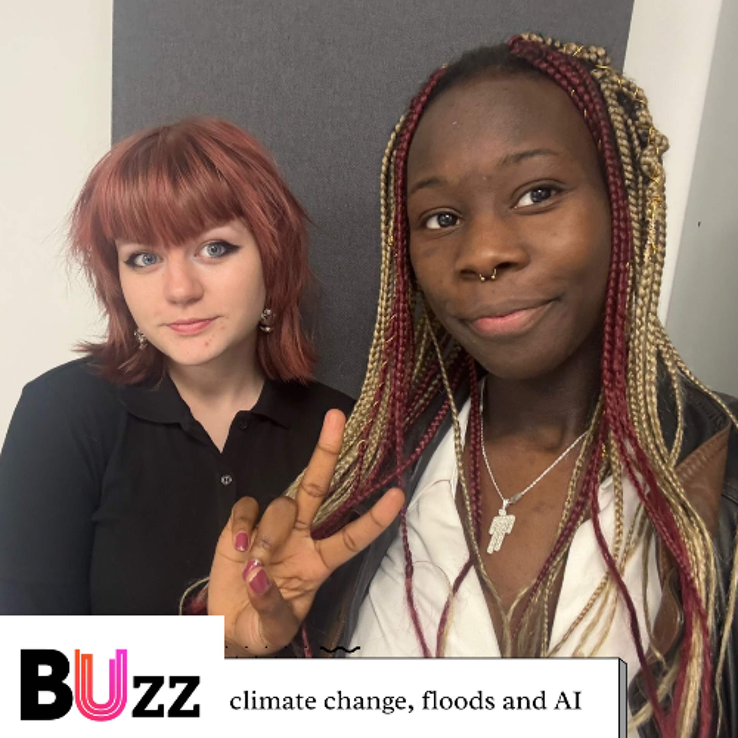 What's the BUzz with climate change?- Naomi and Justina What's the BUzz with climate change?- Naomi and Justina