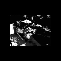 MC Slut Decomposer - From the cunt to the grave.mp3