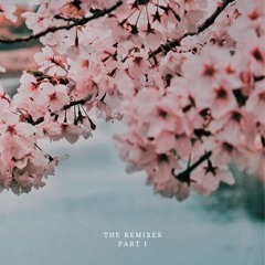Old Remixes by LICOPPE