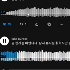 juila hamburger fli p