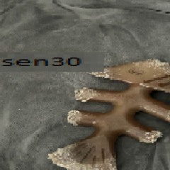 irisu - blocked (@kne4es) [sen30 exclusive]