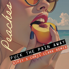 Peaches - Fuck The Pain Away (Dipzy x Chris Clark Remix)