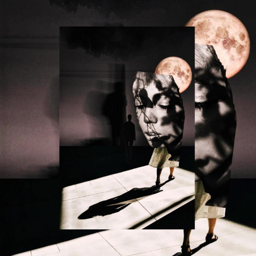 Eclipse of Shadows