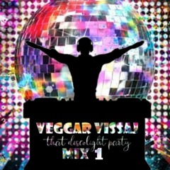 Veggar Vissaj - THAT DISCOLIGHT PARTY 1