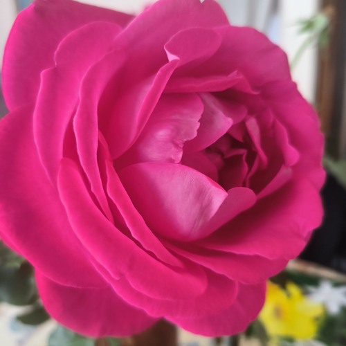 Zouk love kompa (1).mp3