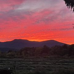 156 HudSon-Slowed Version