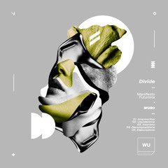 1 - Divide - Anamorfosi