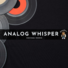 Analog Whisper