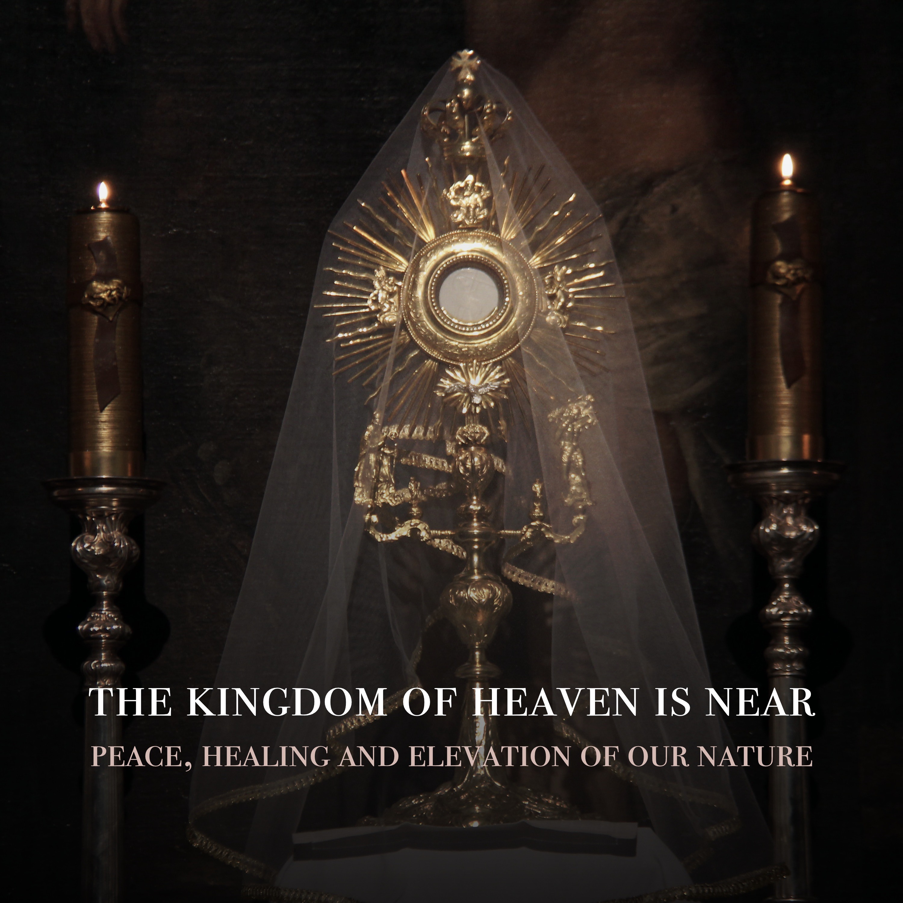 Fr. Barry Braum - Homilies and Conferences