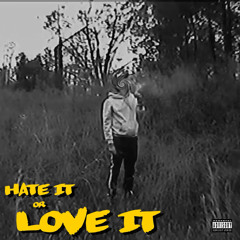 Hate It Or Love It