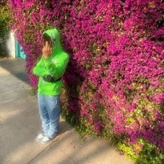 ka$hdami - uvsme (extended)