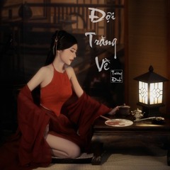 Trương Đình - Đợi Trăng Về